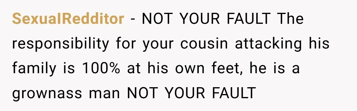 SexuaIRedditor − NOT YOUR FAULT The responsibility for your cousin attacking his family is 100% at his own feet, he is a grownass man NOT YOUR FAULT