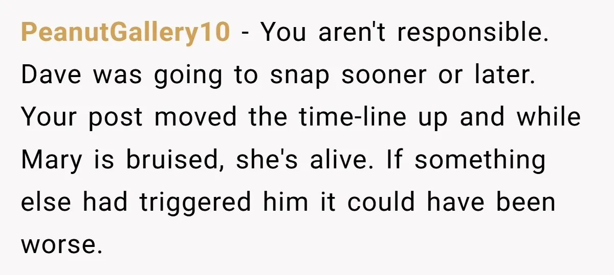 PeanutGallery10 − You aren't responsible. Dave was going to snap sooner or later. Your post moved the time-line up and while Mary is bruised, she's alive. If something else had...