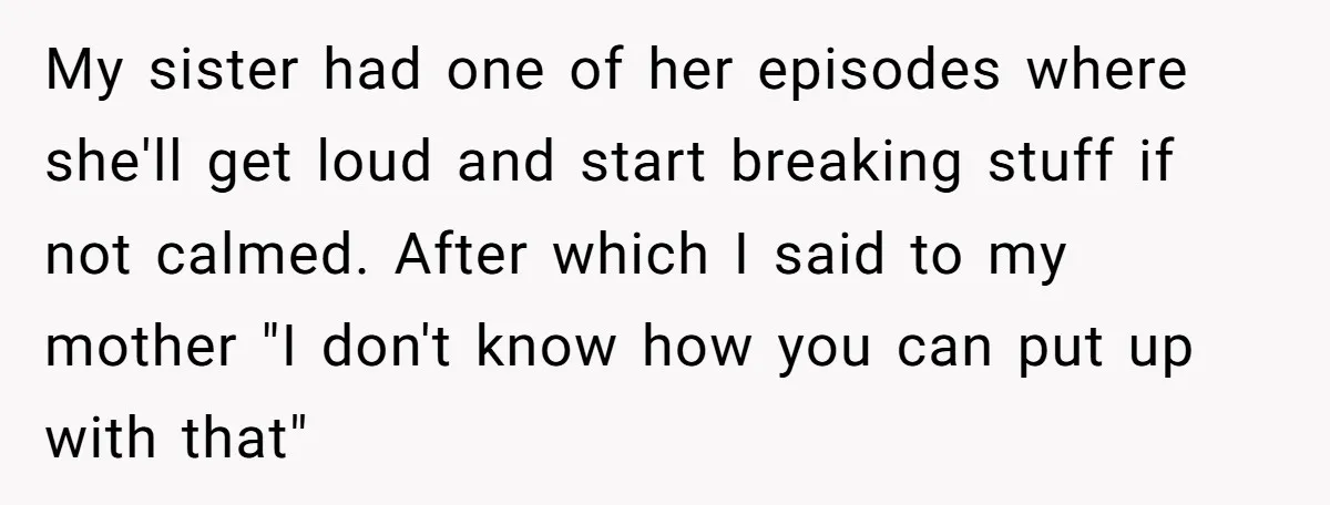 My sister had one of her episodes where she'll get loud and start breaking stuff if not calmed. After which I said to my mother "I don't know how you...