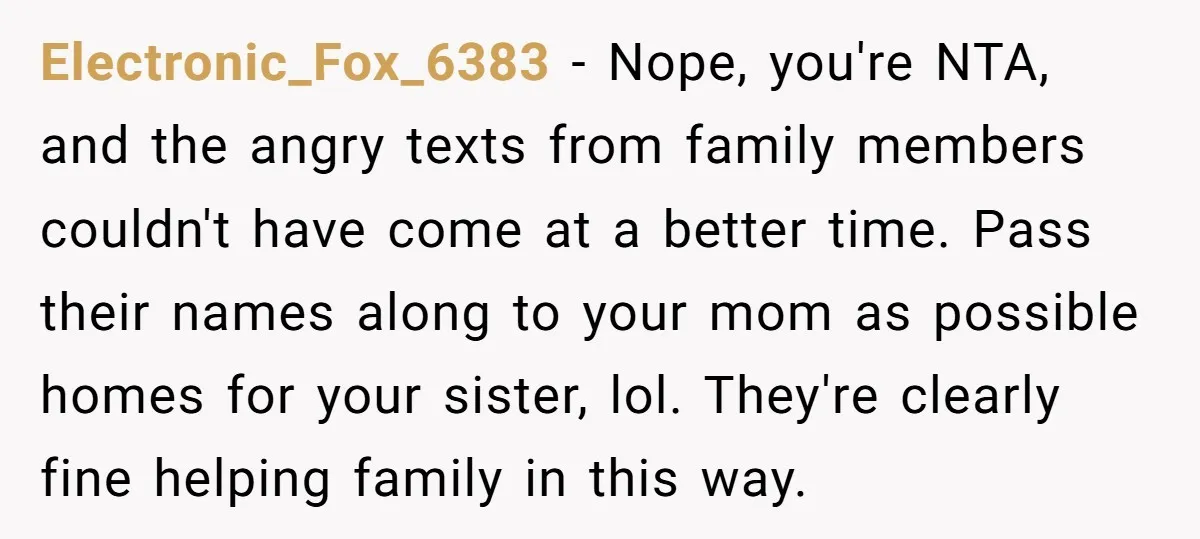 Electronic_Fox_6383 − Nope, you're NTA, and the angry texts from family members couldn't have come at a better time. Pass their names along to your mom as possible homes for...