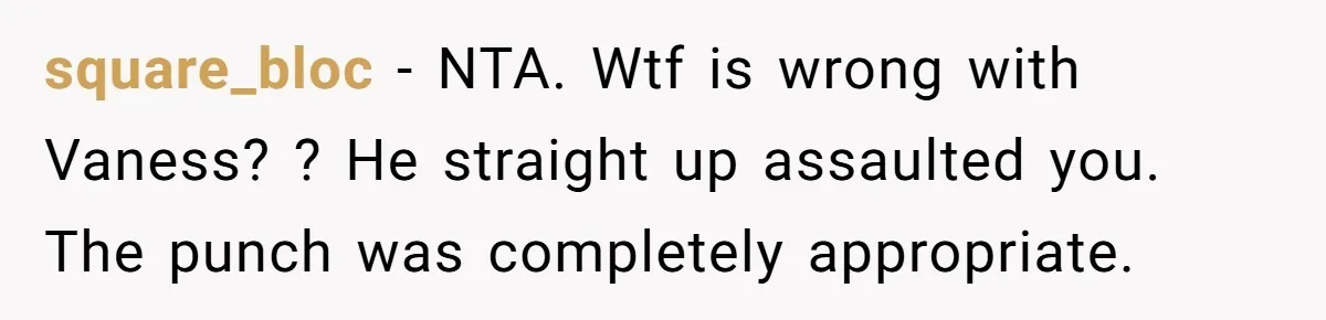 square_bloc - NTA. Wtf is wrong with Vaness? ? He straight up assaulted you. The punch was completely appropriate.