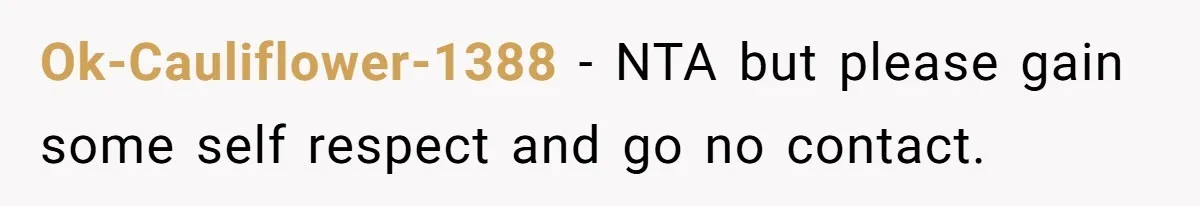 Ok-Cauliflower-1388 − NTA but please gain some self respect and go no contact.