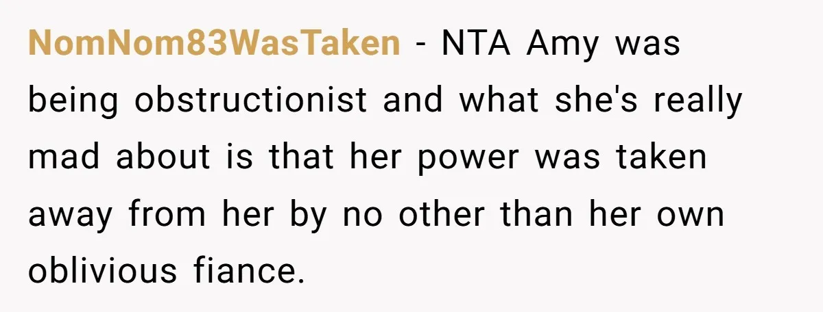 NomNom83WasTaken − NTA Amy was being obstructionist and what she's really mad about is that her power was taken away from her by no other than her own oblivious fiance.