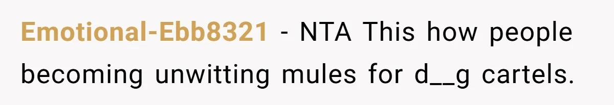 Emotional-Ebb8321 − NTA This how people becoming unwitting mules for d__g cartels.