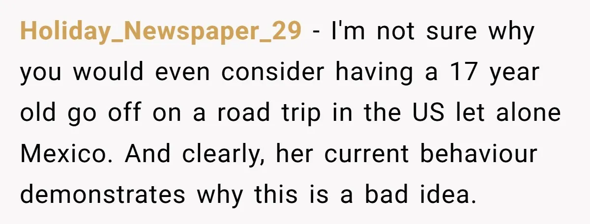 Holiday_Newspaper_29 − I'm not sure why you would even consider having a 17 year old go off on a road trip in the US let alone Mexico. And clearly, her...