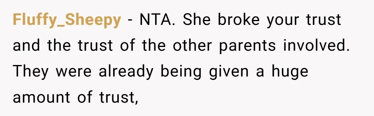 Fluffy_Sheepy − NTA. She broke your trust and the trust of the other parents involved. They were already being given a huge amount of trust,