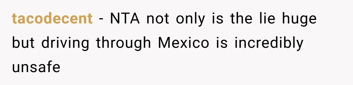 tacodecent − NTA not only is the lie huge but driving through Mexico is incredibly unsafe