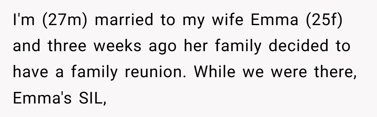 I'm (27m) married to my wife Emma (25f) and three weeks ago her family decided to have a family reunion. While we were there, Emma's SIL,