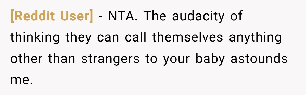 [Reddit User] − NTA. The audacity of thinking they can call themselves anything other than strangers to your baby astounds me.