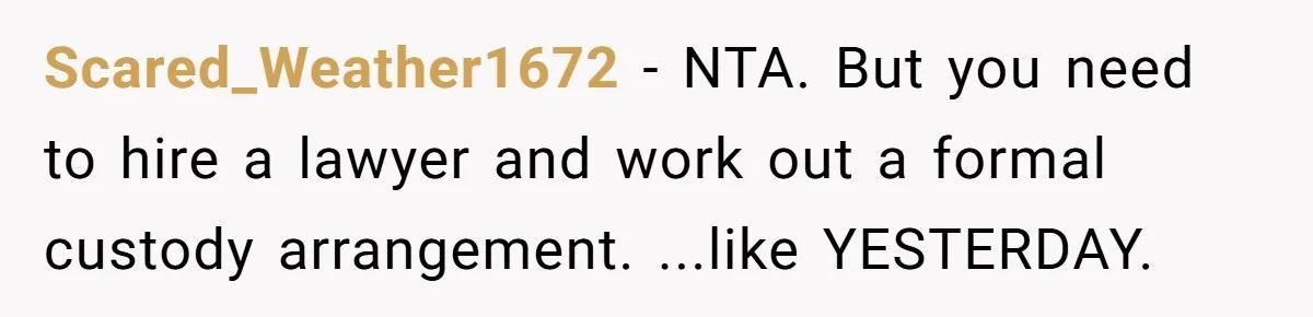 Scared_Weather1672 − NTA. But you need to hire a lawyer and work out a formal custody arrangement. ...like YESTERDAY.