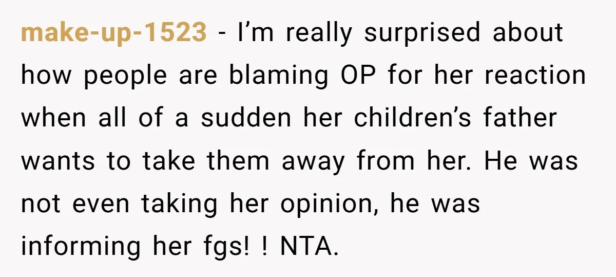 make-up-1523 − I’m really surprised about how people are blaming OP for her reaction when all of a sudden her children’s father wants to take them away from her. He...