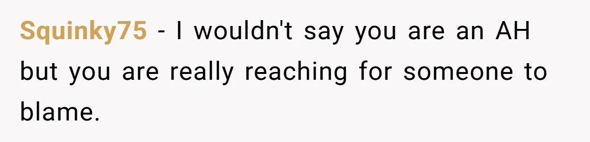 Squinky75 − I wouldn't say you are an AH but you are really reaching for someone to blame.