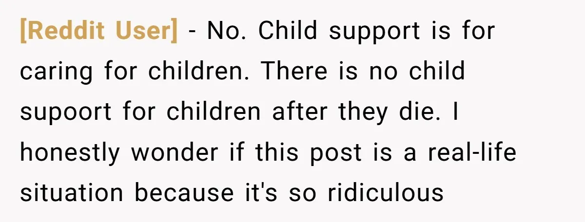 [Reddit User] - No. Child support is for caring for children. There is no child supoort for children after they die. I honestly wonder if this post is a real-life...