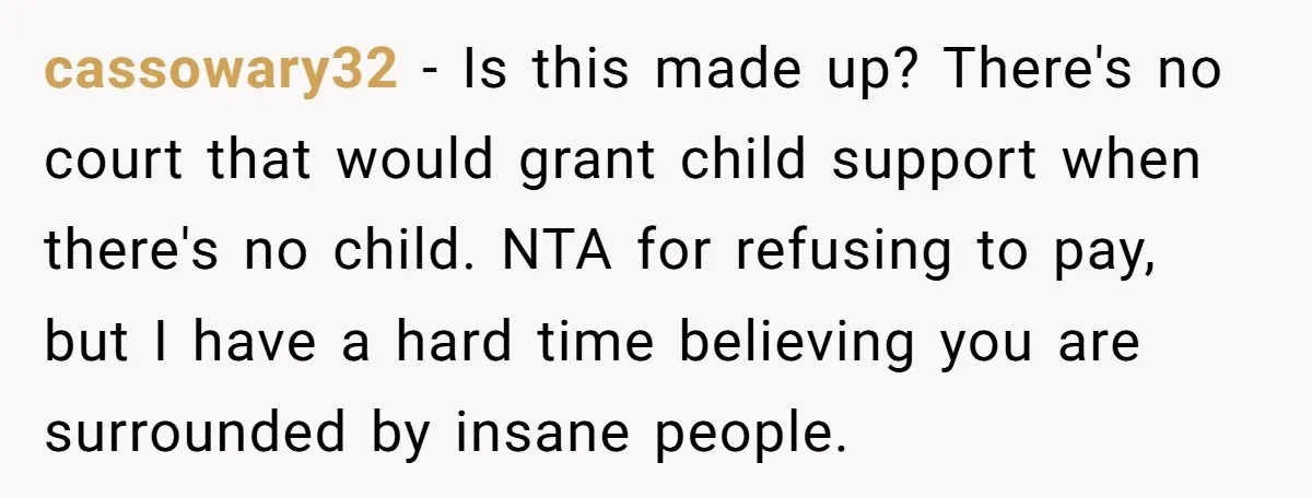 cassowary32 - Is this made up? There's no court that would grant child support when there's no child. NTA for refusing to pay, but I have a hard time believing...