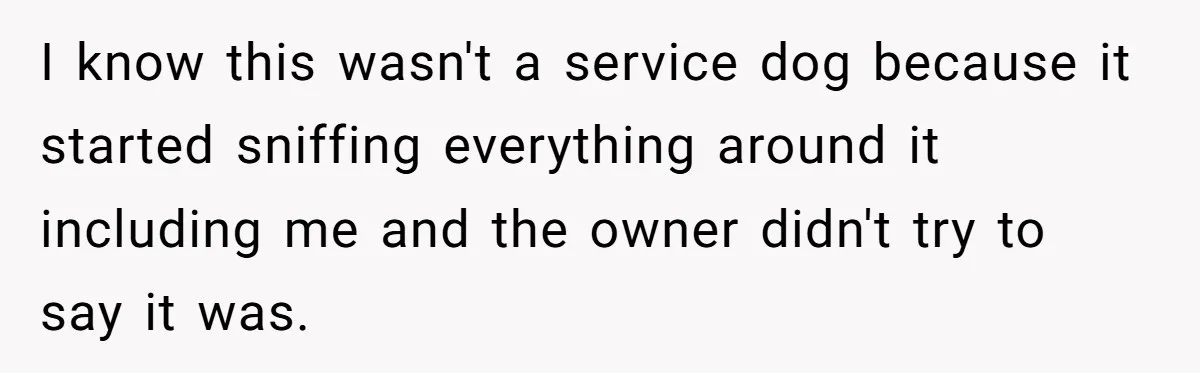 I know this wasn't a service dog because it started sniffing everything around it including me and the owner didn't try to say it was.