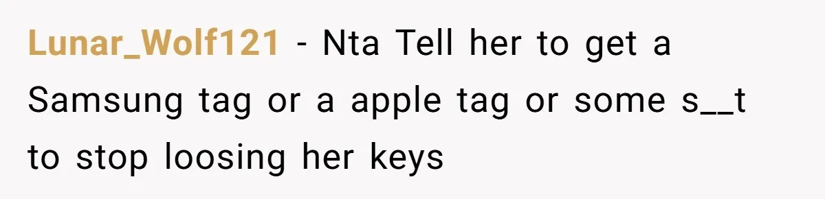 Lunar_Wolf121 - Nta Tell her to get a Samsung tag or a apple tag or some s__t to stop loosing her keys