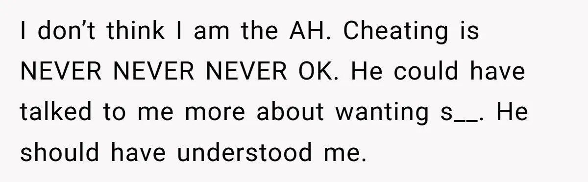 I don’t think I am the AH. Cheating is NEVER NEVER NEVER OK. He could have talked to me more about wanting s__. He should have understood me.