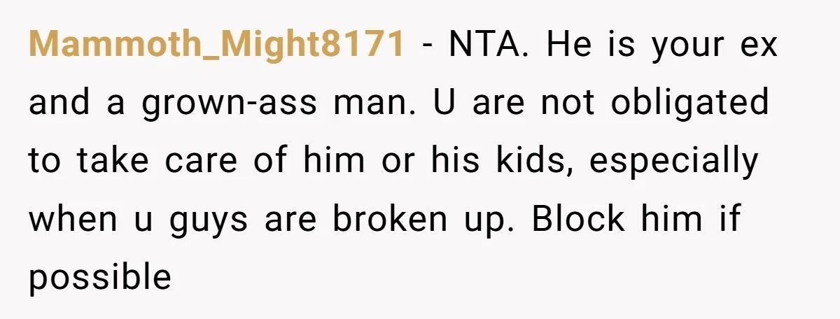 Mammoth_Might8171 - NTA. He is your ex and a grown-ass man. U are not obligated to take care of him or his kids, especially when u guys are broken up....