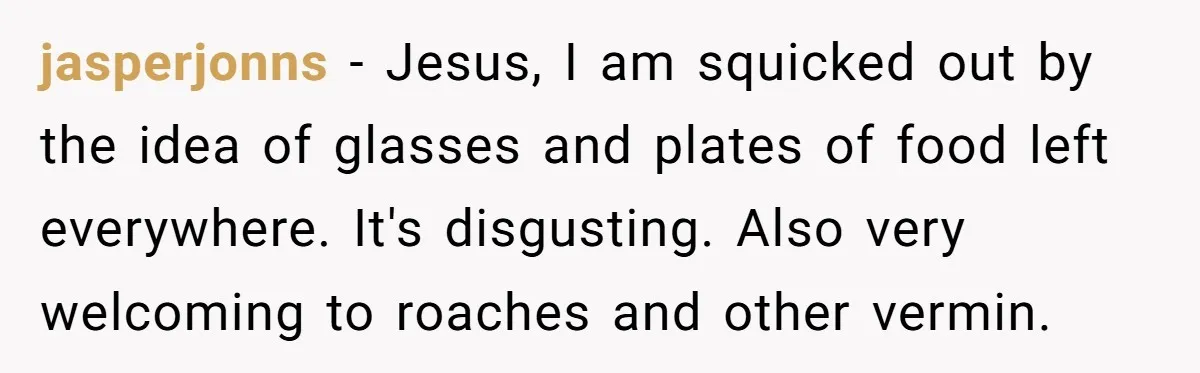 jasperjonns − Jesus, I am squicked out by the idea of glasses and plates of food left everywhere. It's disgusting. Also very welcoming to roaches and other vermin.