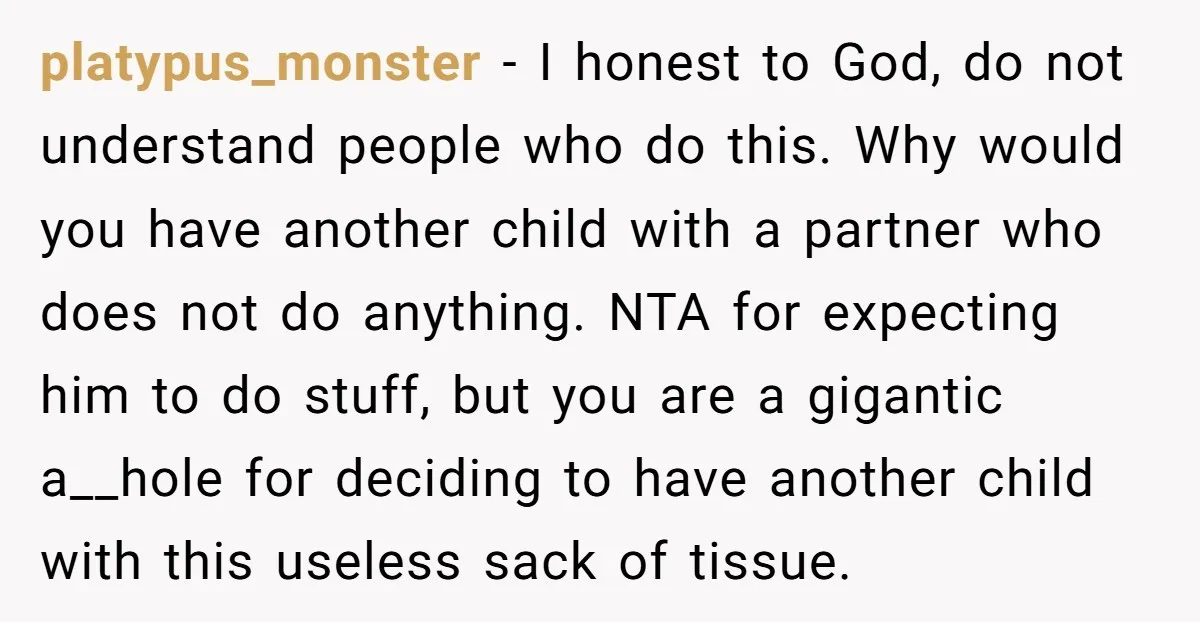 platypus_monster − I honest to God, do not understand people who do this. Why would you have another child with a partner who does not do anything. NTA for expecting...
