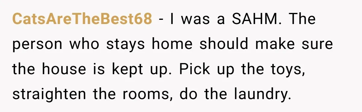 CatsAreTheBest68 − I was a SAHM. The person who stays home should make sure the house is kept up. Pick up the toys, straighten the rooms, do the laundry.