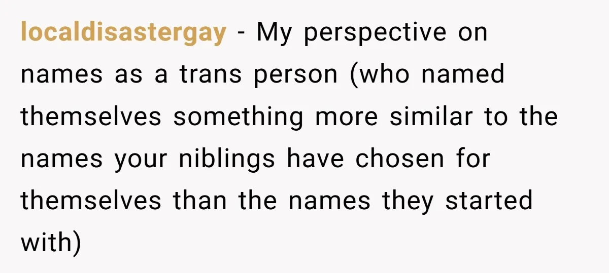 localdisastergay − My perspective on names as a trans person (who named themselves something more similar to the names your niblings have chosen for themselves than the names they started...
