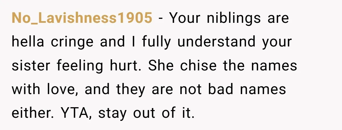 No_Lavishness1905 − Your niblings are hella cringe and I fully understand your sister feeling hurt. She chise the names with love, and they are not bad names either. YTA, stay...