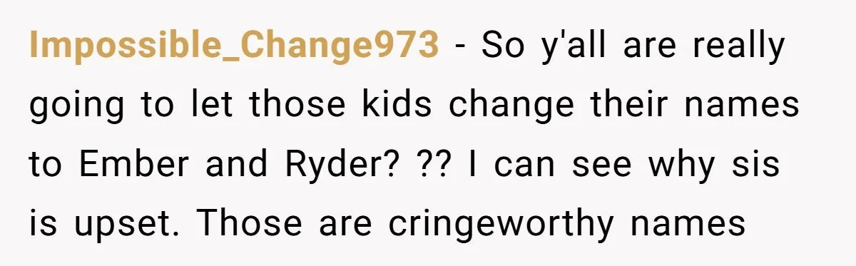 Impossible_Change973 − So y'all are really going to let those kids change their names to Ember and Ryder? ?? I can see why sis is upset. Those are cringeworthy names