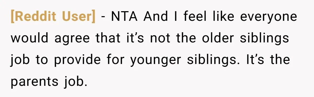 [Reddit User] - NTA And I feel like everyone would agree that it’s not the older siblings job to provide for younger siblings. It’s the parents job.