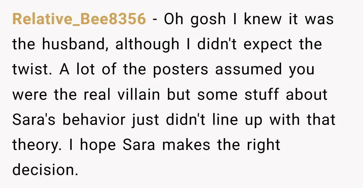 Relative_Bee8356 - Oh gosh I knew it was the husband, although I didn't expect the twist. A lot of the posters assumed you were the real villain but some stuff...
