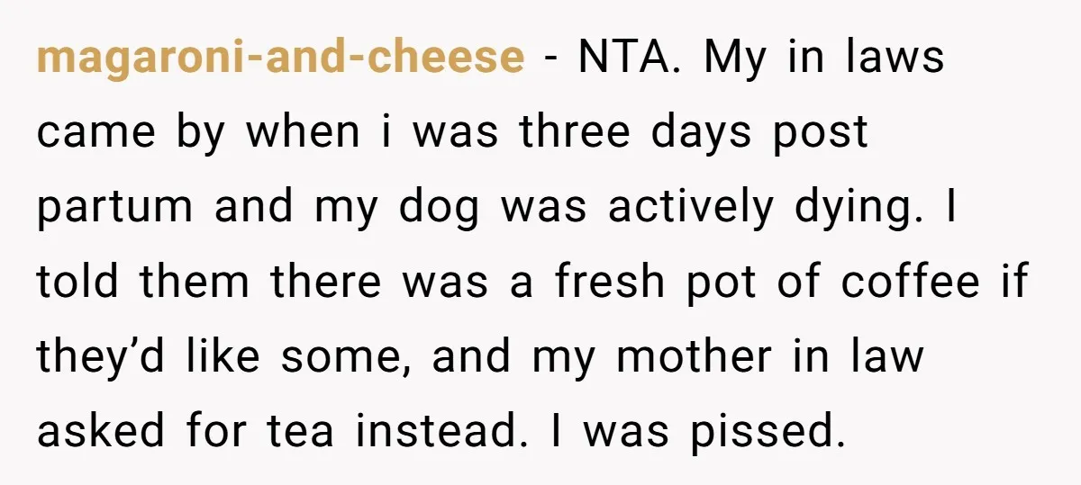 magaroni-and-cheese - NTA. My in laws came by when i was three days post partum and my dog was actively dying. I told them there was a fresh pot of...