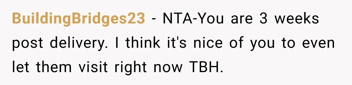 BuildingBridges23 - NTA-You are 3 weeks post delivery. I think it's nice of you to even let them visit right now TBH.