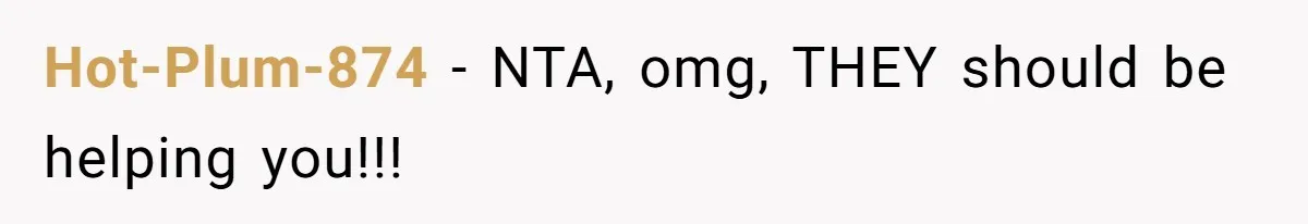 Hot-Plum-874 - NTA, omg, THEY should be helping you!!!