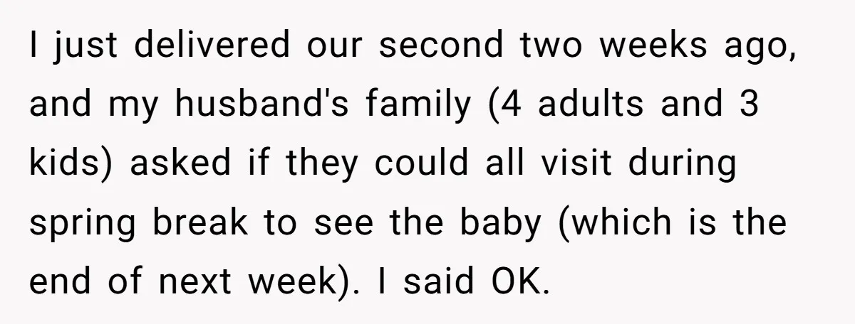 I just delivered our second two weeks ago, and my husband's family (4 adults and 3 kids) asked if they could all visit during spring break to see the baby...