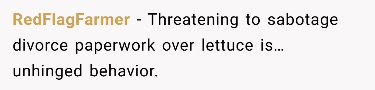 RedFlagFarmer - Threatening to sabotage divorce paperwork over lettuce is… unhinged behavior.