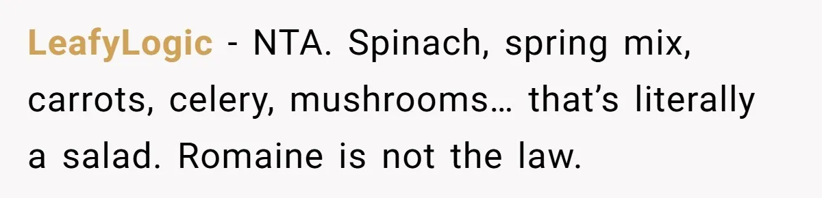 LeafyLogic - NTA. Spinach, spring mix, carrots, celery, mushrooms… that’s literally a salad. Romaine is not the law.