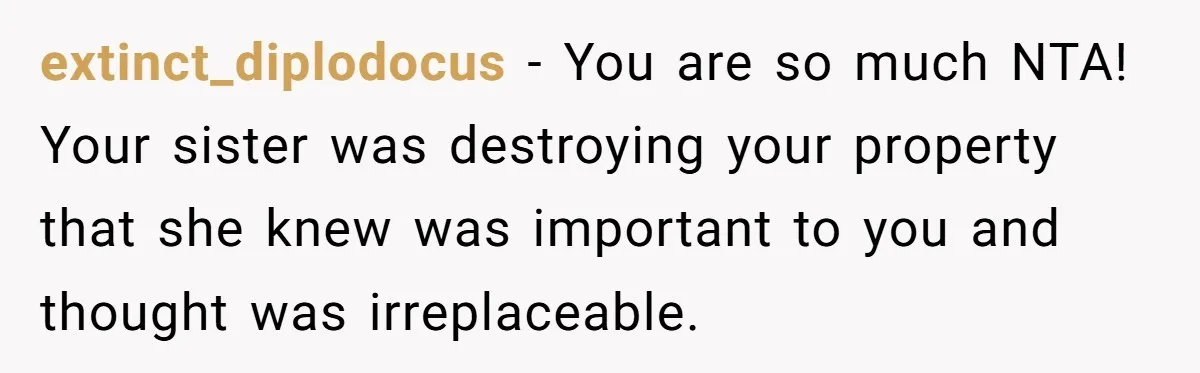extinct_diplodocus - You are so much NTA! Your sister was destroying your property that she knew was important to you and thought was irreplaceable.