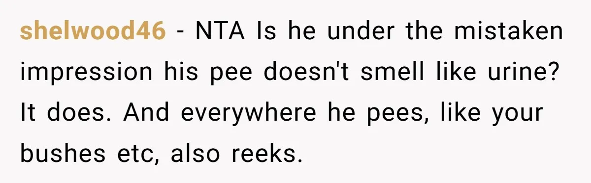 shelwood46 − NTA Is he under the mistaken impression his pee doesn't smell like urine? It does. And everywhere he pees, like your bushes etc, also reeks.
