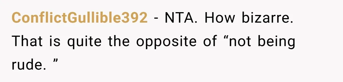 ConflictGullible392 − NTA. How bizarre. That is quite the opposite of “not being rude. ”