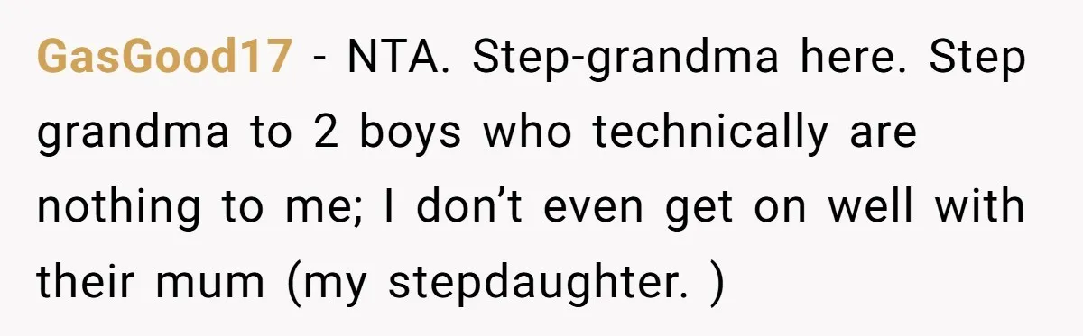 GasGood17 - NTA. Step-grandma here. Step grandma to 2 boys who technically are nothing to me; I don’t even get on well with their mum (my stepdaughter. )