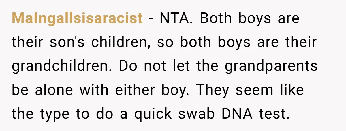 MaIngallsisaracist - NTA. Both boys are their son's children, so both boys are their grandchildren. Do not let the grandparents be alone with either boy. They seem like the type...