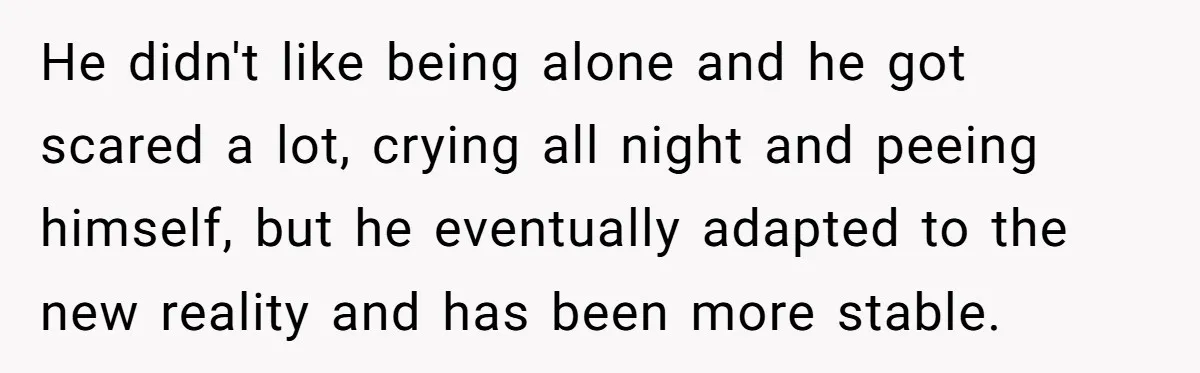 He didn't like being alone and he got scared a lot, crying all night and peeing himself, but he eventually adapted to the new reality and has been more stable.