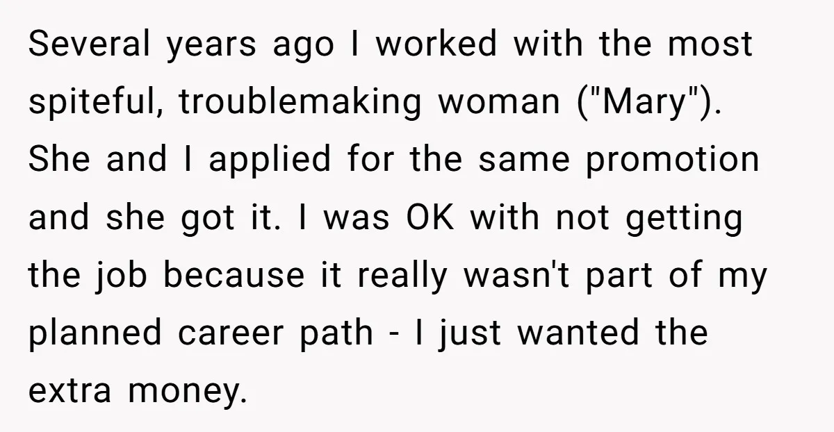 Several years ago I worked with the most spiteful, troublemaking woman ("Mary"). She and I applied for the same promotion and she got it. I was OK with not getting...