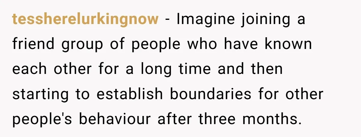tessherelurkingnow − Imagine joining a friend group of people who have known each other for a long time and then starting to establish boundaries for other people's behaviour after three...