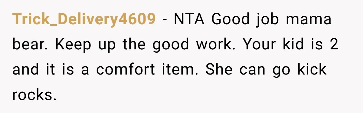 Trick_Delivery4609 − NTA Good job mama bear. Keep up the good work. Your kid is 2 and it is a comfort item. She can go kick rocks.