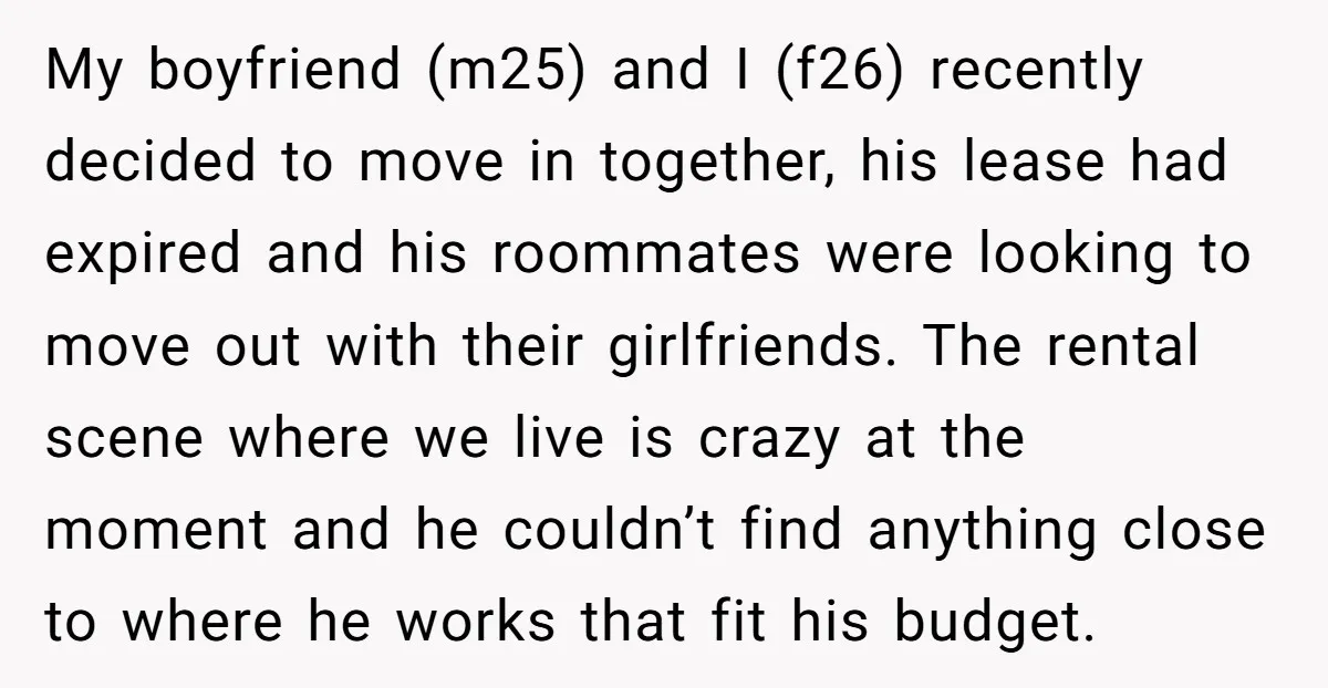My boyfriend (m25) and I (f26) recently decided to move in together, his lease had expired and his roommates were looking to move out with their girlfriends. The rental scene...