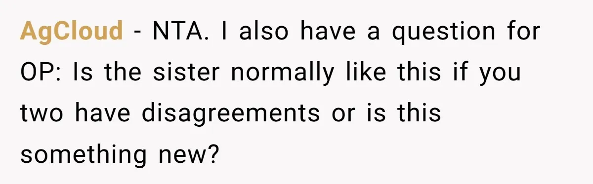 AgCloud − NTA. I also have a question for OP: Is the sister normally like this if you two have disagreements or is this something new?