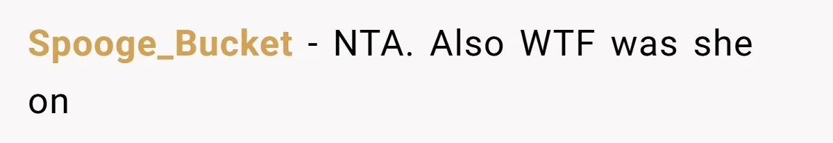 Spooge_Bucket − NTA. Also WTF was she on