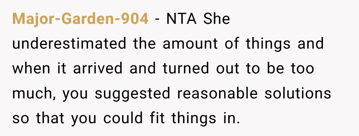 Major-Garden-904 − NTA She underestimated the amount of things and when it arrived and turned out to be too much, you suggested reasonable solutions so that you could fit things...