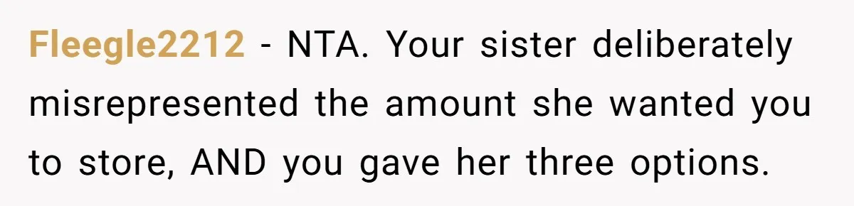 Fleegle2212 − NTA. Your sister deliberately misrepresented the amount she wanted you to store, AND you gave her three options.